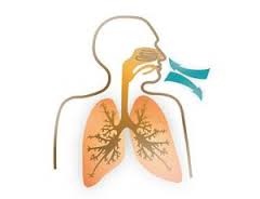 Financement de deux projets de recherche sur l'amiante par l'ANSES